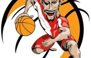 LE COIN DES COACHS
